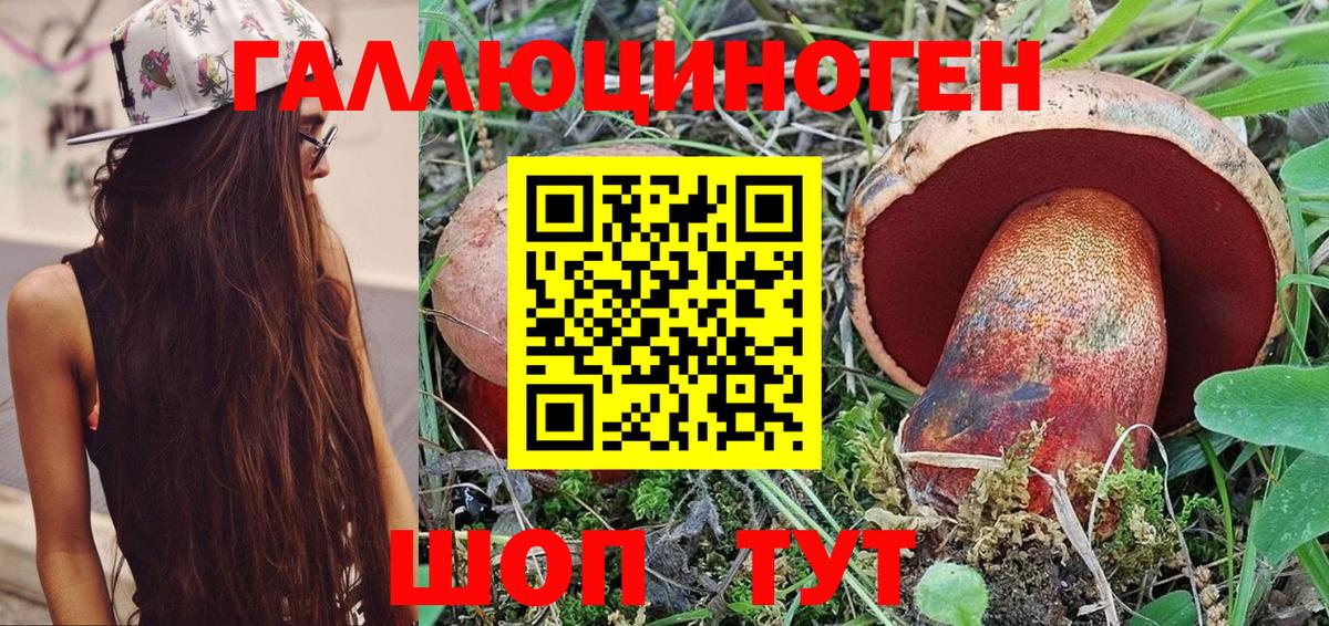 Галлюциногенные грибы Psilocybe Усинск